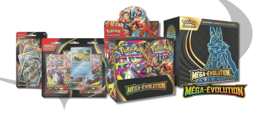 Méga Evolution Banner VintiCards